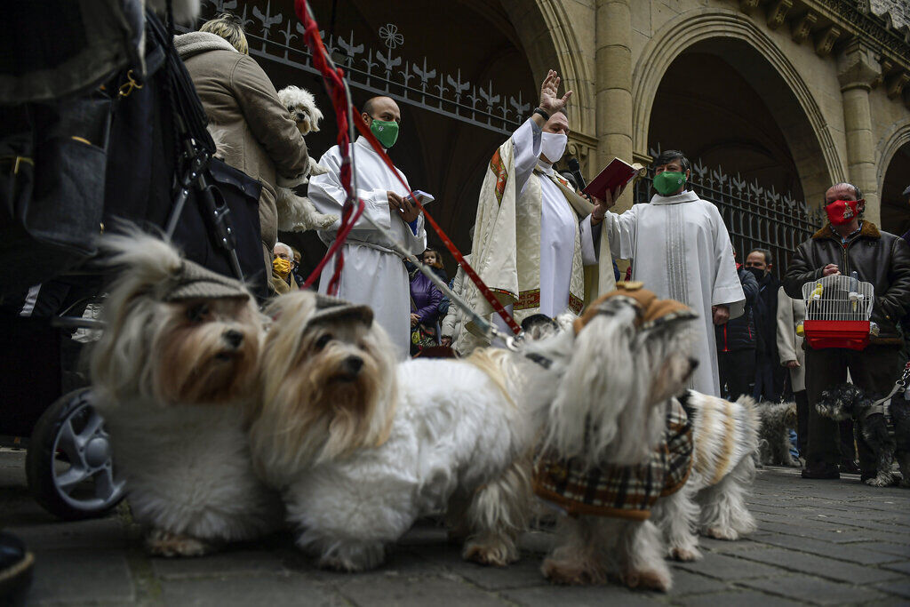 APTOPIX Virus Outbreak Spain Animals Blessing